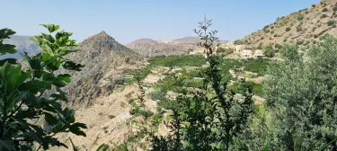 al-Dschabal al-Achdar