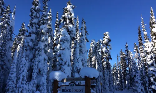 Kimberley Alpine Resort