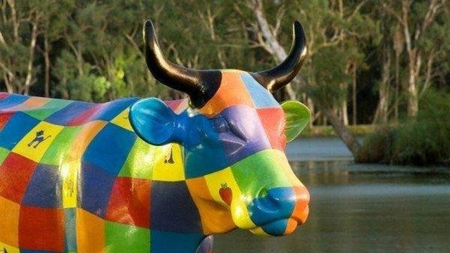 Greater Shepparton Visitor Centre