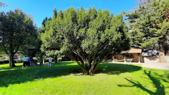 Ethnographic Museum of Cantabria