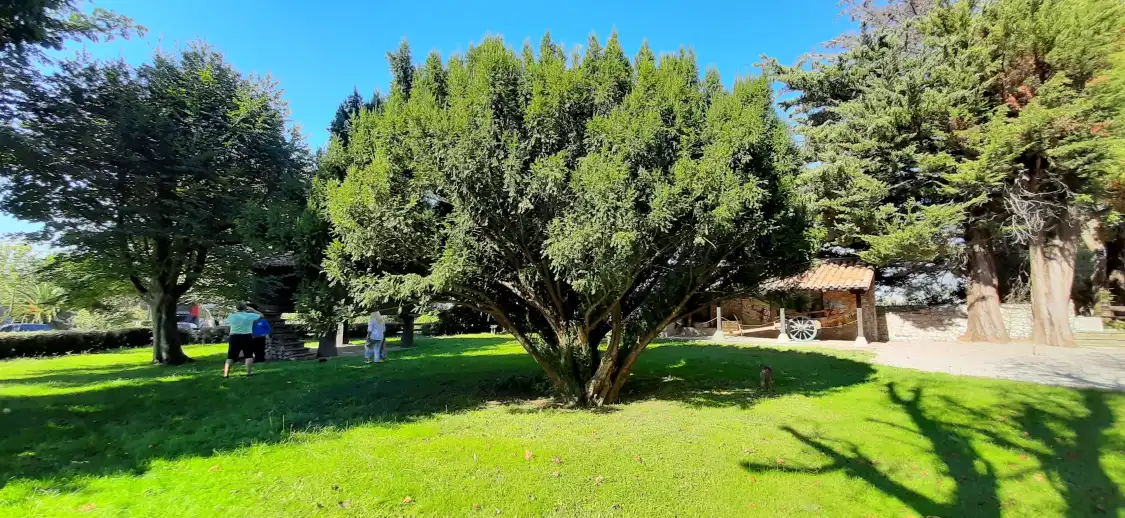 Hotels near Ethnographic Museum of Cantabria