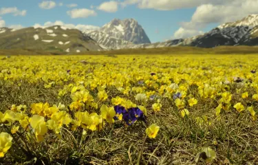 Campo Imperatore