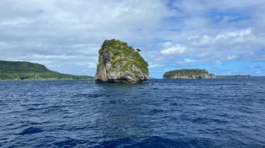 Beluga Diving