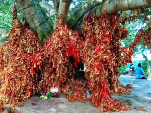 Ramchandi Temple, Ramchandi,Puri
