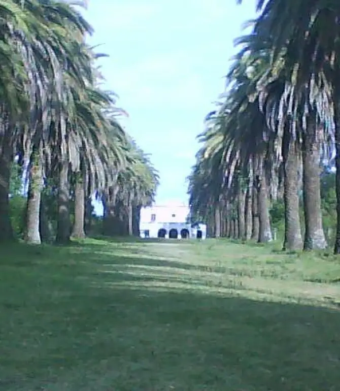 Dolores