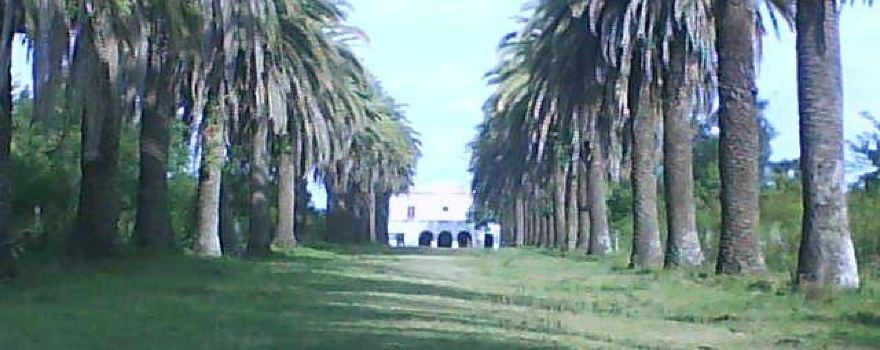 Playa de la Agraciada