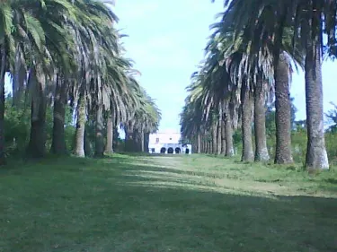 Soriano Department