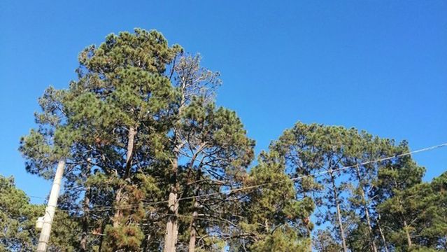 Grutas de Rancho Nuevo