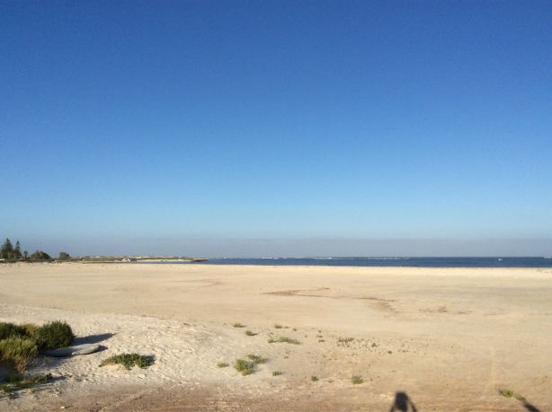 Pages Beach