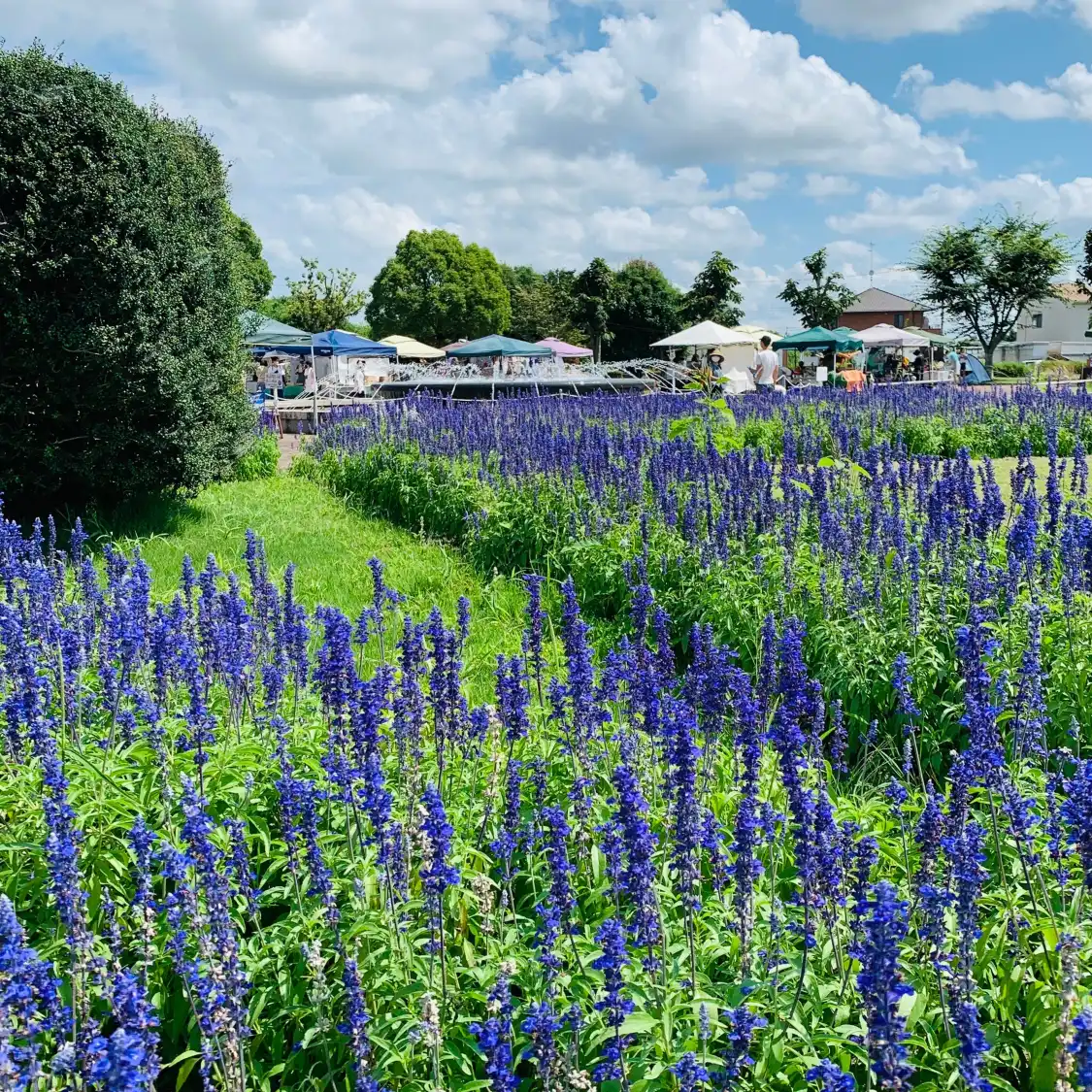 Hotels near Suzuka Flower Park