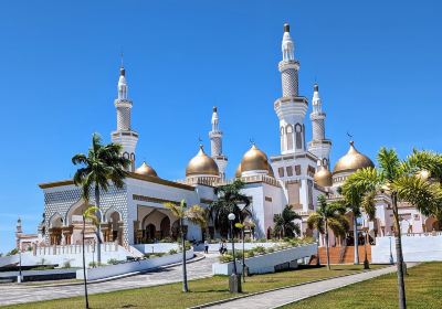 Sultan Haji Hassanal Bolkiah Masjid