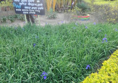 Imphal East
