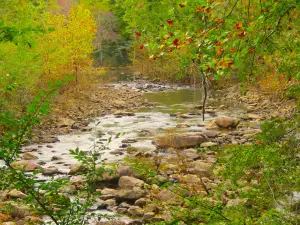 Big Soddy Creek Gulf