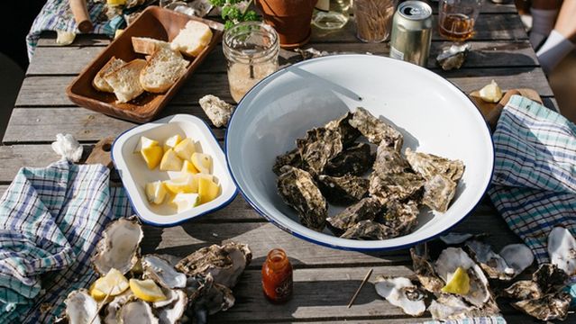 Mahurangi Oysters Limited