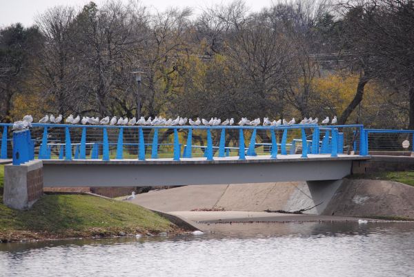 Northwest Park
