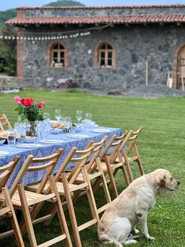 Chubini Wine Cellar