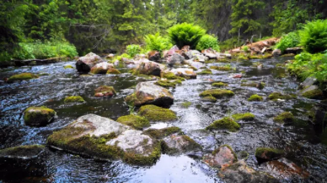 Alvdalen Municipality