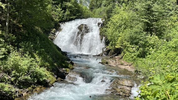 Fairy Creek Falls Trailhead