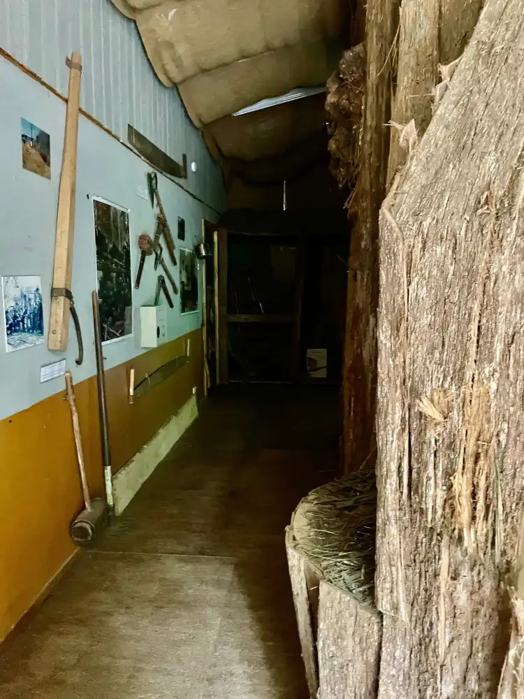 Toolangi
