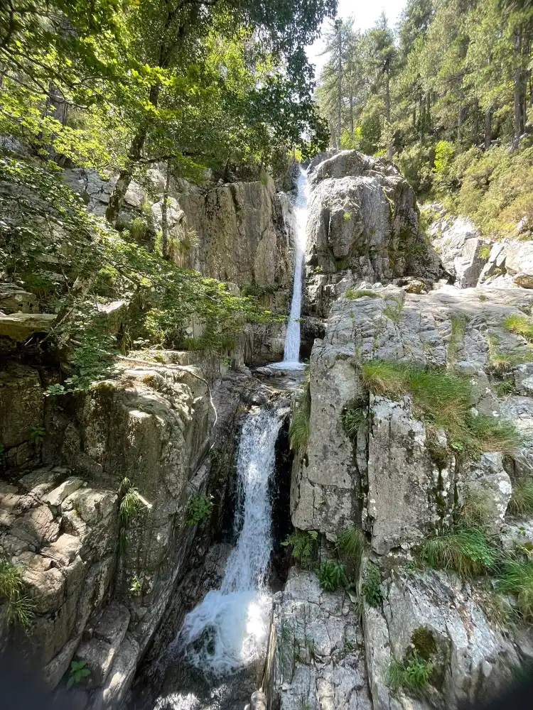 Hotels in Vivario
