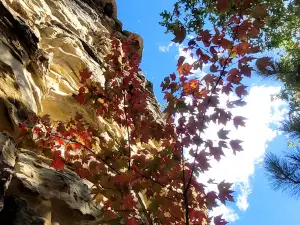 Castle Rock Wayside
