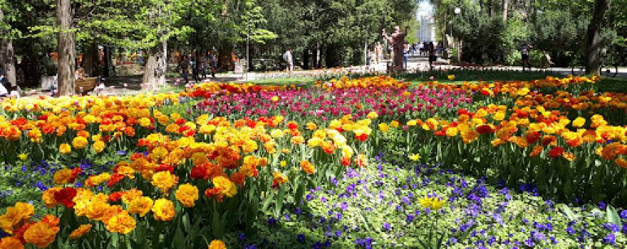 Park "bathhouse"