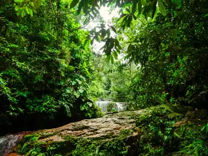 Cachoeira Formosa