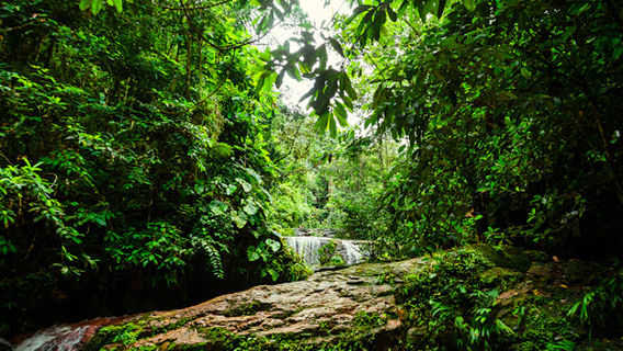 Cachoeira Formosa