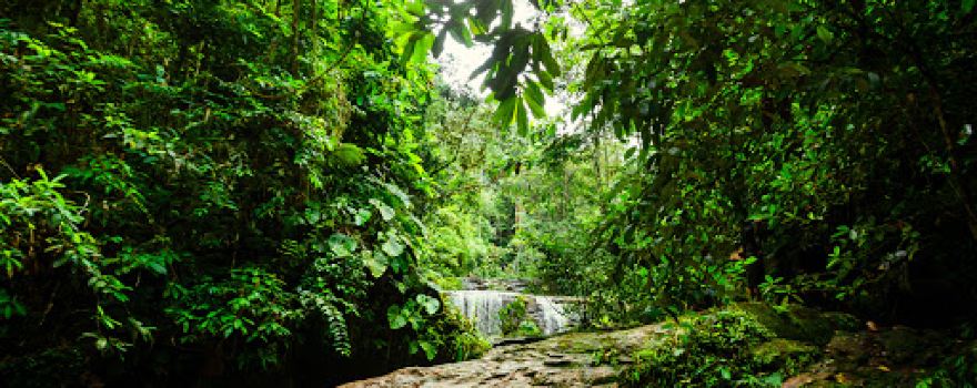 Cachoeira Formosa