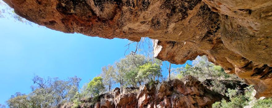 Mitchell River National Park