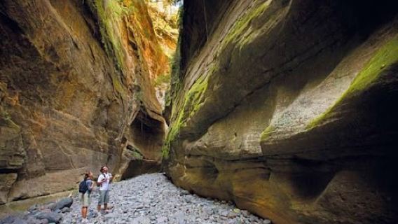 Carnarvon National Park