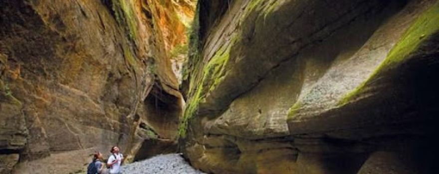 Carnarvon National Park