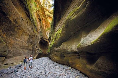 Carnarvon National Park