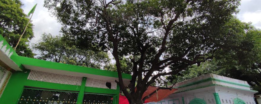 Syed Hussain Sharfuddin Shahvilayat Naqvi RA Dargah