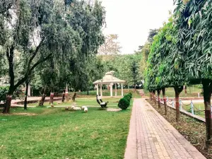 Janeshwar Mishra Park