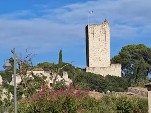 Cinéma Le Venise