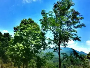 Mae La Noi