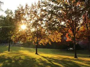 Cricket Hollow Park