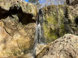 Tunica Hills WMA Trail A