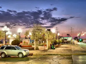 Echeverria Garden