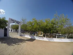 Museu Dr. Bezerra de Menezes