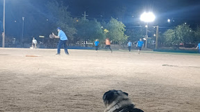 Deportivo field Coloso