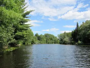 River's Edge Camping
