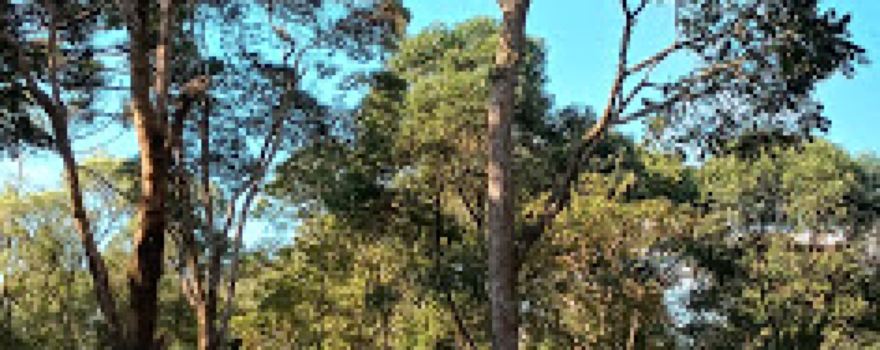 Parque Ambiental Municipal Monge João Maria