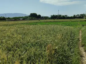 بالاحصار كندز (كهندژ) Kunduz Fort
