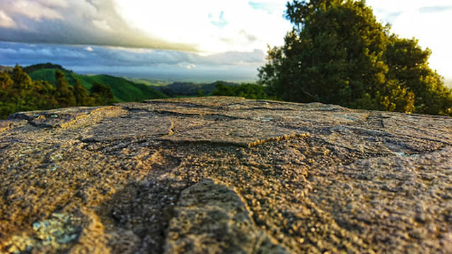 Kaimai Mamaku Lookout