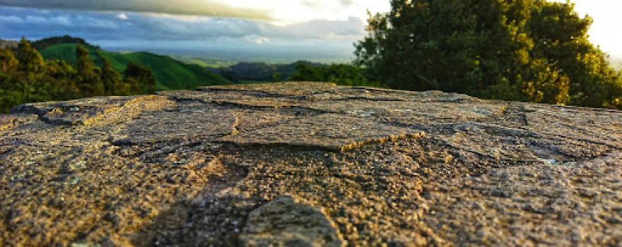 Kaimai Mamaku Lookout