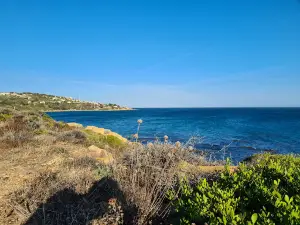 Playa de Cala Sardina