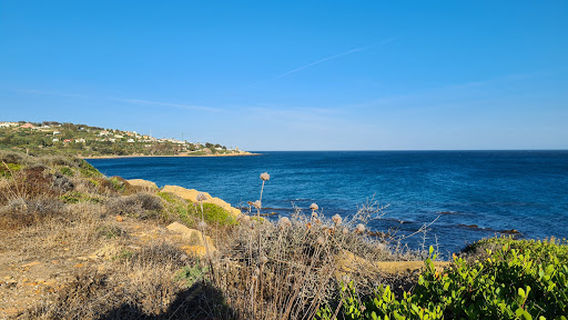 Playa de Cala Sardina