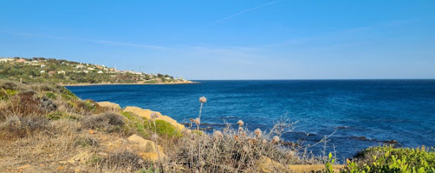 Playa de Cala Sardina